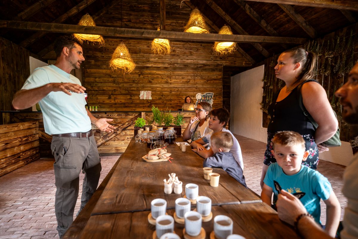 Füvesház workshop